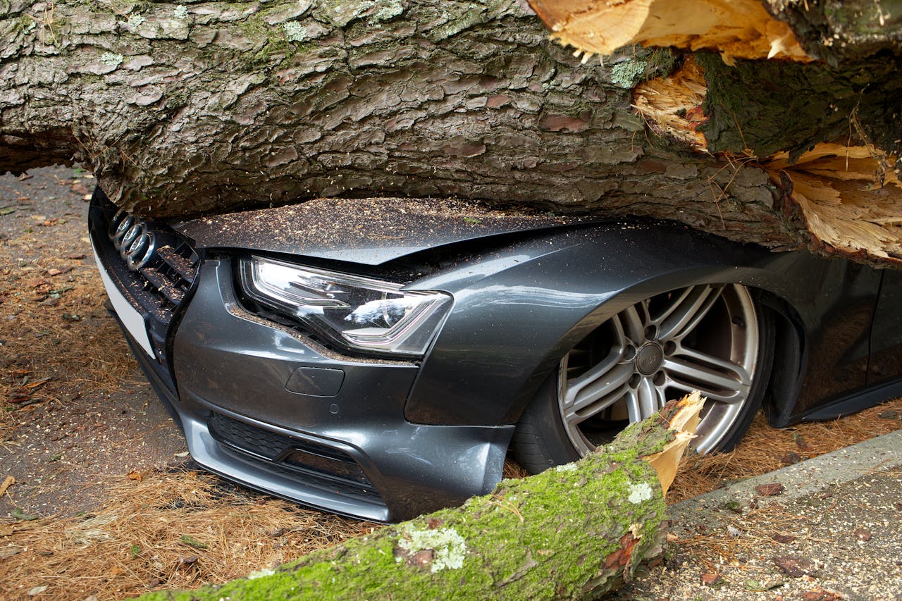 Home A vehicle damaged by a fallen tree after an accident in the United Kingdom.